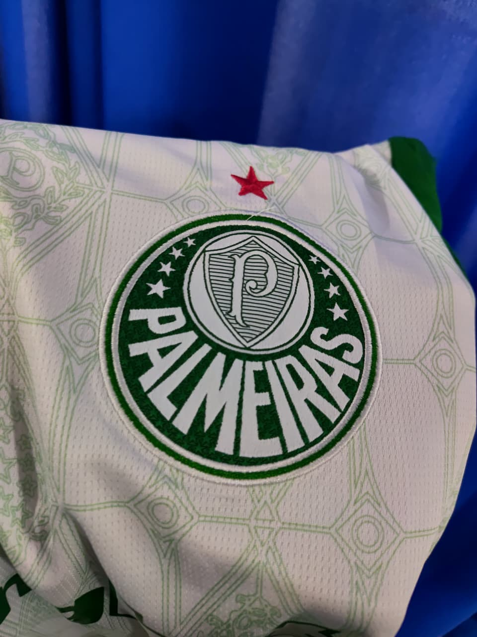 PRONTA ENTREGA Palmeiras 2025/26 Fora — foto 3