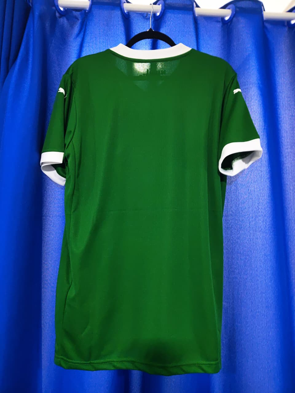 PRONTA ENTREGA Palmeiras 2025/26 Casa — foto 2
