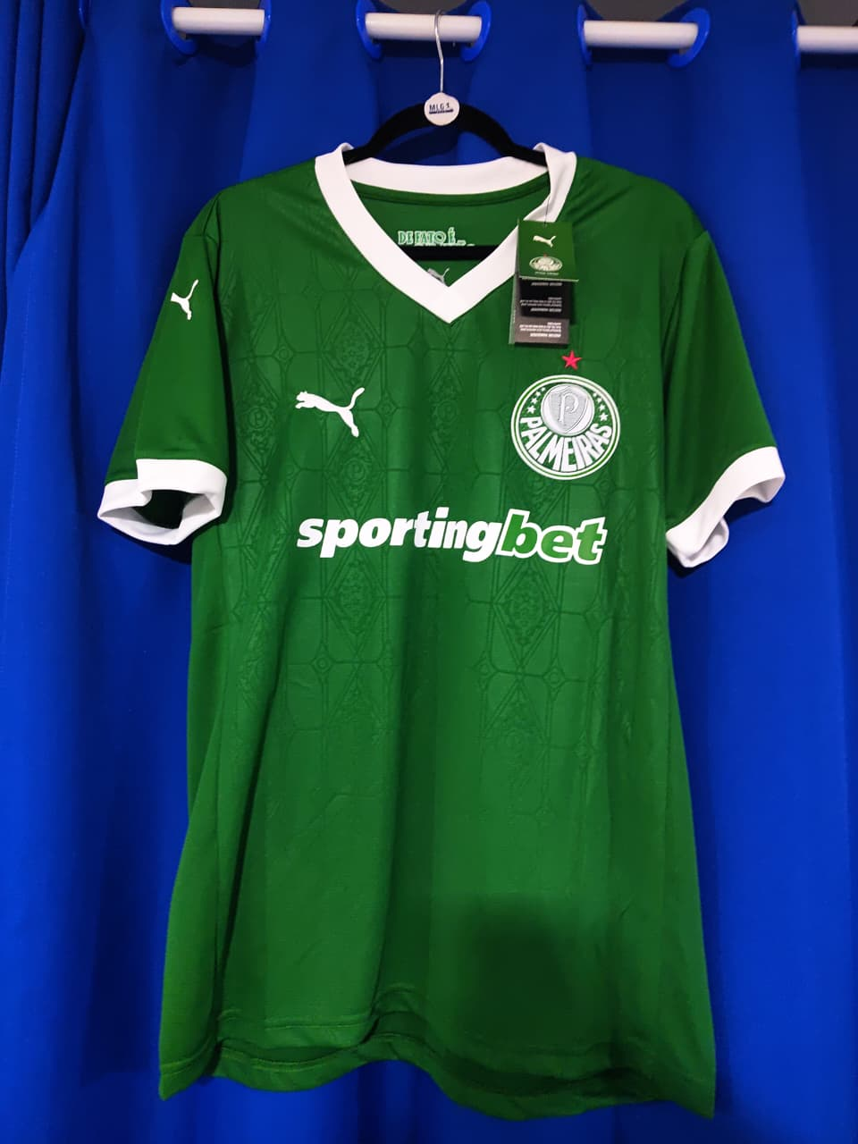 PRONTA ENTREGA Palmeiras 2025/26 Casa — foto 1