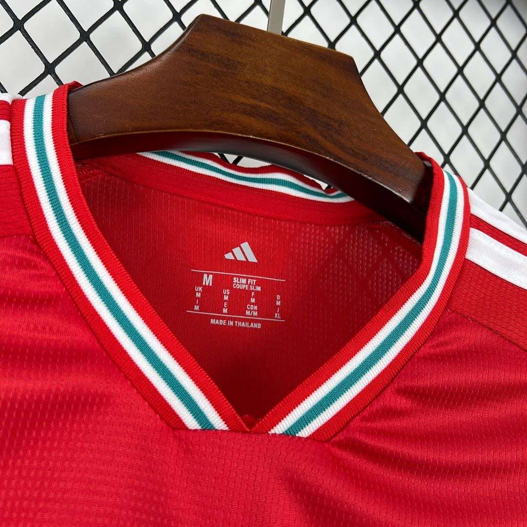 Mens Wales 2026 World Cup Home Jersey — foto 3