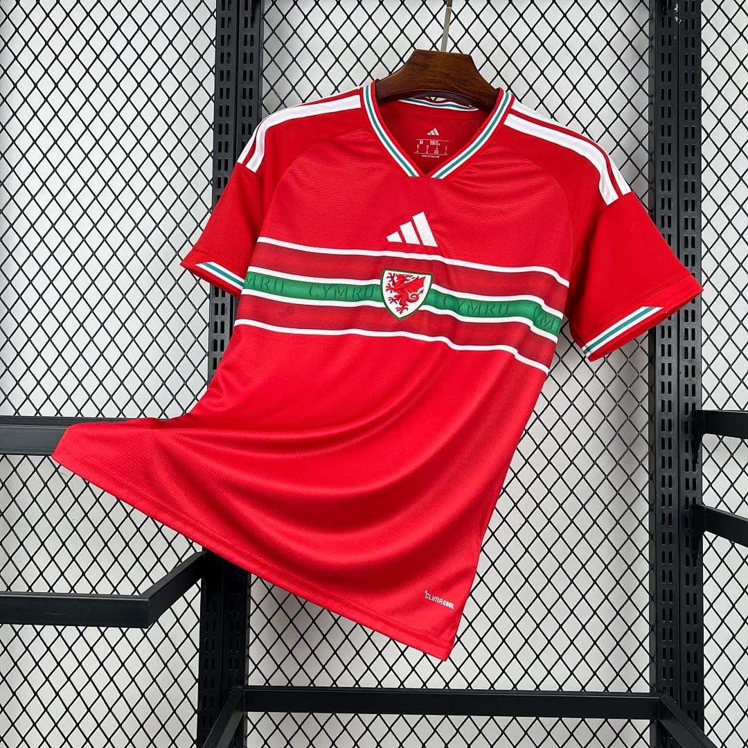 Mens Wales 2026 World Cup Home Jersey — foto 1