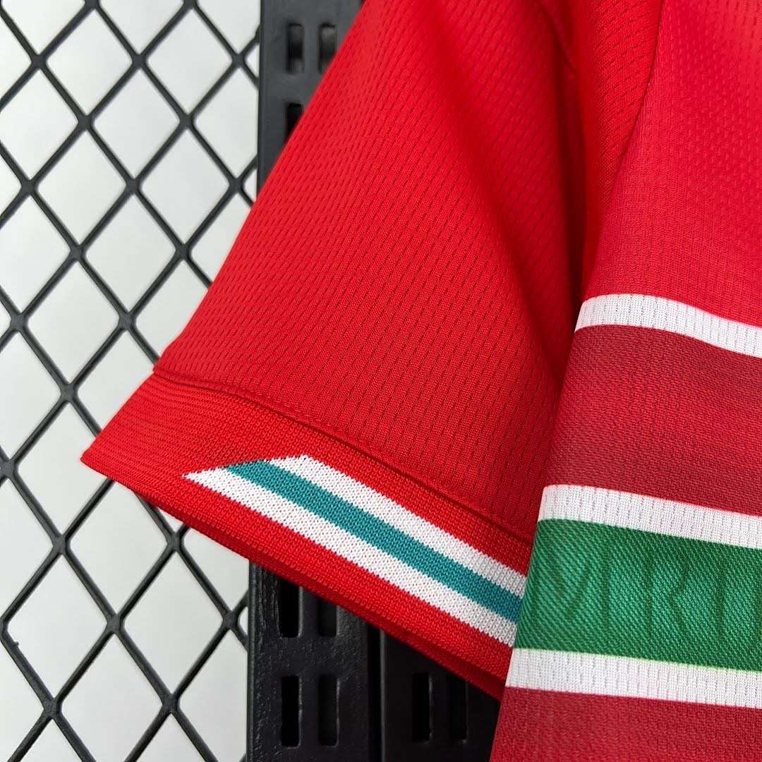 Mens Wales 2026 World Cup Home Jersey — foto 5