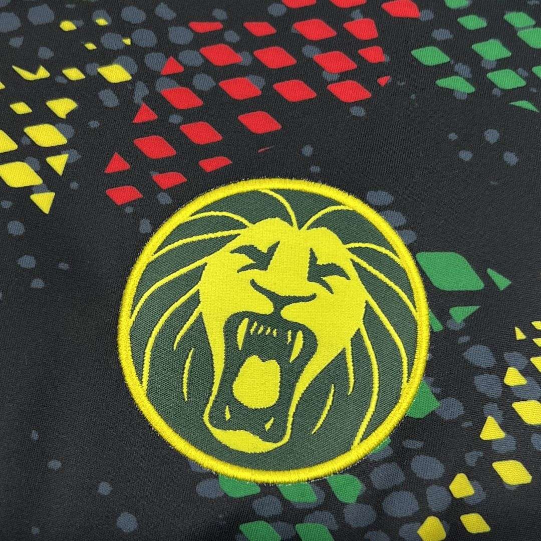 2026 Cameroon Special Jersey S-4XL — foto 4