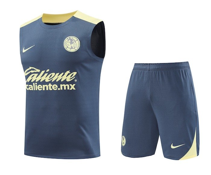 2425 Mexico America VEST grey kit S-XXL